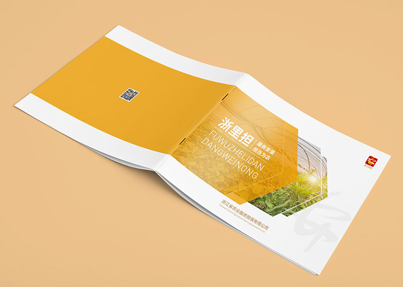 創(chuàng)新畫冊(cè)設(shè)計(jì)的理念改怎樣去做